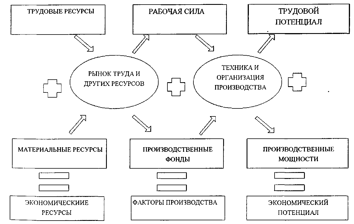 Организация рабочей силы. Трудовые ресурсы схема. Трудовые ресурсы предприятия схема. Экономические ресурсы предприятия схема. Схема конспект трудовые ресурсы и рынок труда.